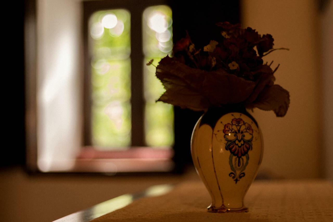 Casa Rustica Villa Serra do Bouro Eksteriør bilde